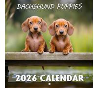 Dachshund Puppies Calendar 2026: Follow tiny paws and wagging tails from playful beginnings