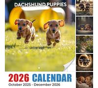 Dachshund Puppies Calendar 2026: Follow tiny paws and wagging tails from playful beginnings