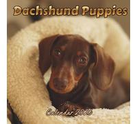 Dachshund Puppies Calendar 2026: Organizer For Home & Office From January to December For Men, Women