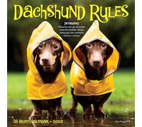 Dachshund Rules 2026 7 X 7 Mini Wall Calendar