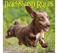 Willow Creek Press, Dachshund Rules - Calendario de pared 2027