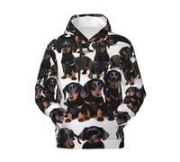 Dachshund Weiner - Sudadera con capucha para hombre con estampado de perro, para invierno, otoño y primavera, casual, suave y cómoda