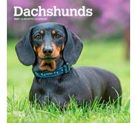 Dachshunds | 2027 7 x 14 Inch (Hanging) Monthly Mini Wall Calendar | BrownTrout | Animals Dog Breeds