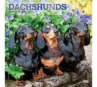 Dachshunds - Dackel 2027 - 16-Monatskalender: Original BrownTrout-Kalender [Mehrsprachig] [Kalender] (Dachshunds | 2027 12 x 24 Inch (Hanging) Monthly ... | BrownTrout | Animals Dog Breeds)