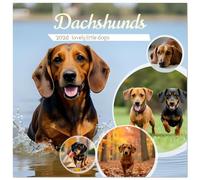 Dachshunds - lovely little dogs (Wall Calendar 2026 12" x 24" / 30 x 60 cm (open)) CALVENDO 12 Month Wall Calendar