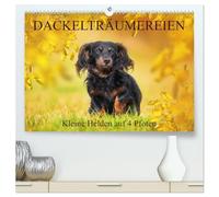 Dackelträumereien - Kleine Helden auf 4 Pfoten (hochwertiger Premium Wandkalender 2026 DIN A2 quer), Kunstdruck in Hochglanz: Lassen Sie sich von ... Sigrid Starick durch das Jahr begleiten