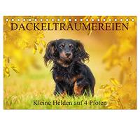 Dackelträumereien - Kleine Helden auf 4 Pfoten (Tischkalender 2026 DIN A5 quer), CALVENDO Monatskalender: Lassen Sie sich von zauberhaften ... Sigrid Starick durch das Jahr begleiten