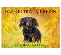Dackelträumereien - Kleine Helden auf 4 Pfoten (Wandkalender 2026 DIN A2 quer), CALVENDO Monatskalender: Lassen Sie sich von zauberhaften ... Sigrid Starick durch das Jahr begleiten