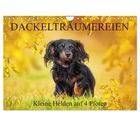 Dackelträumereien - Kleine Helden auf 4 Pfoten (Wandkalender 2026 DIN A4 quer), CALVENDO Monatskalender: Lassen Sie sich von zauberhaften ... Sigrid Starick durch das Jahr begleiten