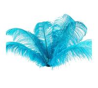 Dacvgog 10 Piezas de Plumas de Avestruz Naturales DecoracióN para Fiesta de Boda Lago Azul 20-25Cm