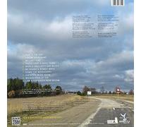 Dad Horse Experience,the - I am a Stranger Here Below [Vinyl LP] [Vinilo]