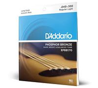Daddario EPBB170