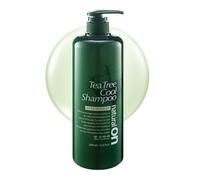 Daeng Gi Meo Ri Doori de árbol de té fresco de champú 1000 ml