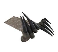 Dag Nasty - Can I Say [Vinilo]