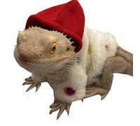 DAGLLGEW Abrigo de dragón Barbudo, Ropa, Sudaderas Suaves, suéter, Abrigo, Disfraz de dragón Barbudo, protección de la Piel, Fiesta fotográfica para Lagarto, Gecko, Disfraz de Mascota, de Animal, AC