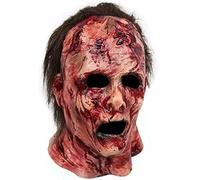 DAGLLGEW MáScara De Halloween MáScara De Miedo De Miedo Con MáScara De Miedo Con El Cabello Para Adultos Horror LáTex Suave De La MáScara Zombie Realista Con Agujero De Ojo Para La Mascarada Cosplay