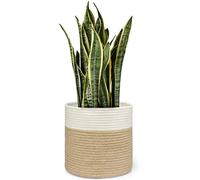 Dahey Jute Spliced Cotton Rope Plant Basket Modern Woven Storage Basket for 10' Floor Indoor Planter, 11' x 11' Decorative Flower Pots Cover Laundry Bin with Handle Rustic Home Decor, White and Beige