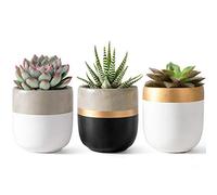 Dahey Paquete de 3 macetas pequeñas de Cemento para suculentas de 4 Pulgadas, Modernas macetas de hormigón para Interiores y Exteriores, para Cactus o Plantas pequeñas, decoración del hogar