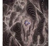 Dahga Bloom - No Curtains [VINYL] [Vinilo]