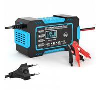 DAHJSD Cargador de Batería 12V 6A para Kawasaki Ninja 125 2019-2023, Cargador Automático Inteligente Coche & Moto, Pantalla LCD, Múltiples Protecciones,C Blue