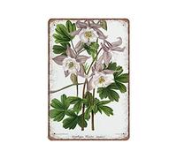 DAIERCY Letrero de lata con diseño botánico vintage de Aquilegia con el capó de la abuela y Aquilegia, idea de regalo de Köhler, placa de metal divertida para pared, pub, bar, cocina, jardín, baño