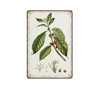DAIERCY Letrero de lata con texto en inglés "Another Beautiful Coffee Plant - Cartel de metal vintage con texto en inglés "Another Beautiful Coffee Plant - Cartel de metal vintage con texto en inglés