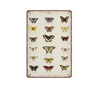 DAIERCY Letrero de metal con diseño de mariposa de historia natural, diseño de insectos, estilo holandés, divertido, vintage, para pared, bar, cocina, jardín, baño, decoración del hogar, 140 x 200 mm