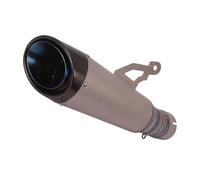 daili store Sistema de escape de aleación de titanio for motocicleta, tubo de conexión central y silenciador de escape, Compatible con BMW S1000RR 2019-2022