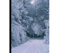 DAILY JOURNAL: Motivational / aesthetic progress, not perfection. one day at a time, be present. trust the process. little steps, big growth. where dreams take shape