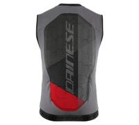 Dainese - Flexagon Waistcoat 2 Man,Chaleco Protector Esquí, Protector Espalda Esquí,Plateado/Gris,Hombre