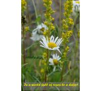 Daisies 150 p notebook: In a world full of roses, be a daisy!