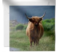 Daisy & Bee Tarjeta de felicitación abierta con diseño de vaca de las tierras altas, impresionante diseño de foto de vida silvestre, interior en blanco para tu propio mensaje, 15 x 15 cm