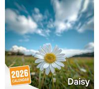 Daisy Calendar 2026: Fresh and Cheerful Designs for Every Month
