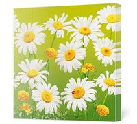 Daisy Servilletas de papel de seda de 3 capas con diseño de flores primaverales para decoupage, 33 cm x 33 cm, paquete de 20 (bonitas margaritas sobre verde)