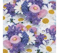 DAISY Servilletas de papel de seda de 3 capas con diseño de flores primaverales para decoupage, 33 cm, paquete de 20 (fondo fresco)