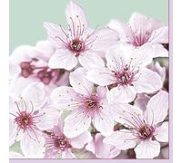 DAISY Servilletas de papel de seda de 3 capas con diseño de flores primaverales para decoupage, 33 x 33 cm, paquete de 20 (flor de cerezo)