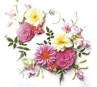 DAISY Servilletas de papel de seda de 3 capas con flores de primavera para el almuerzo Decoupage, 33 cm x 33 cm, paquete de 20 (composición de flores delicadas)