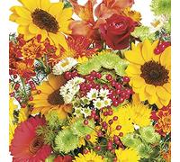 DAISY Servilletas de papel de seda de 3 capas con flores primaverales para almuerzo, 33 cm x 33 cm, paquete de 20 unidades (ramo de otoño rico)