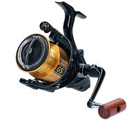 DAIWA 20 GS BR LT 5000-C