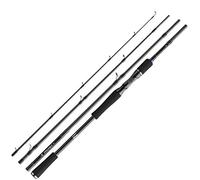 Daiwa Baitcast Prorex XR Travel BC - Caña de pescar (2,40 m, 40-120 g)