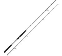 Daiwa - Bastón de señuelos Saltist Seabass 1002 Hx Hfs - 3,05 m - 174 g - P.14-56 g - Enc.165 cm - SLT1002HXHFSBF
