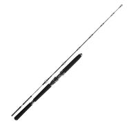 DAIWA BG Deep Sea XH, caña de pescar para barco, 5 pies, 9 pulgadas, 3.5-10.5 onzas