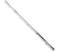 Daiwa Fuego Spin - Caña de pescar (3 m, 20-60 g)
