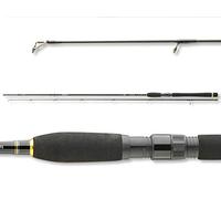 Daiwa Legalis Spin, 11768-300 - Caña de pescar giratoria, 3,05 m, 10-40 gramos, 2 partes