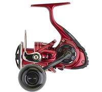 Daiwa Moulinet Spinning Bg Lt RR Ark - 290g - R.6.2-99cm - Dg.12Kg - Bgrrlt4000Dcxhark