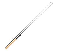 Daiwa Prorex S Spin 1002ML - Juego de 2 piezas (10-40 g, 3,00 m)