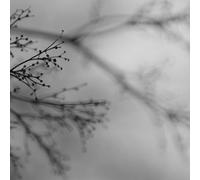 Dakota Suite - What Matters Most