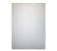 Dal Adigraf Profesional Planchas Linograbado A3