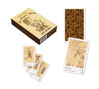 Dal Negro 43006 La Magica Sibilla - Juego de Cartas (versión en Italiano, de L. E G. Scapini) (versión en Italiano)
