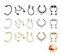 DALAETUS 15 Piezas Magnéticos Piercing Nariz Set - Anillos de Nariz Falsos de Acero Inoxidable, Piercing Nariz Falso, Color Acero, Oro, Negro, Joyería de Septum para Mujeres y Hombres